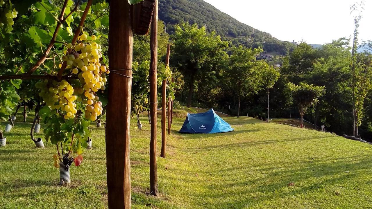 Camping Colle Vento Hotel Domaso Exterior photo